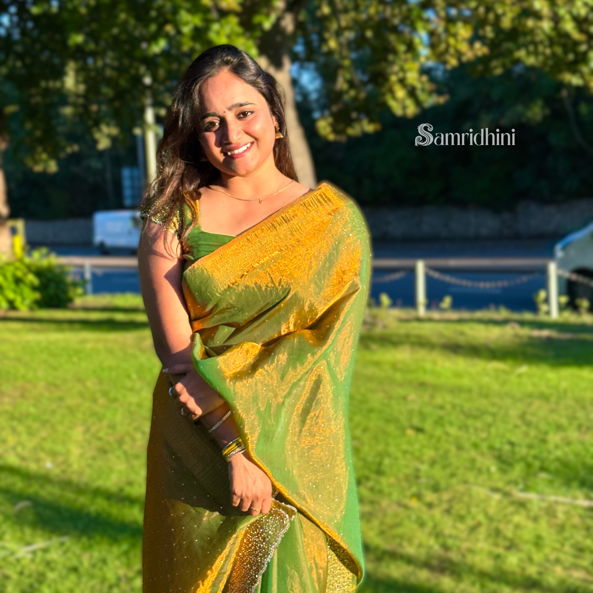 Golden Green Tissue Saree with Sequin Border