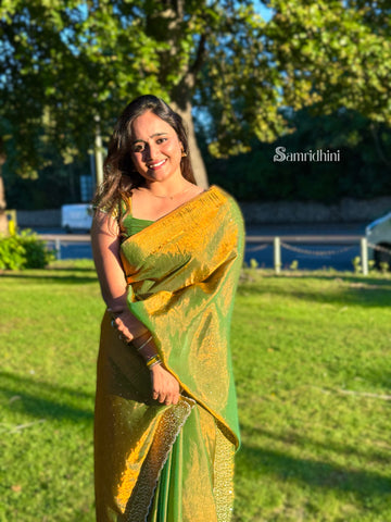 Golden Green Tissue Saree with Sequin Border