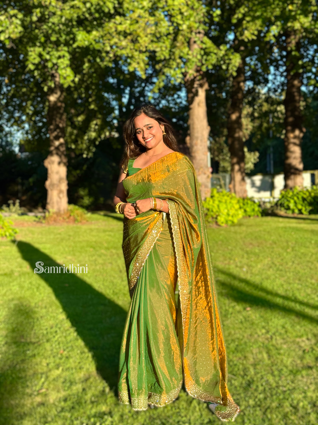 Golden Green Tissue Saree with Sequin Border